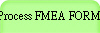 Process FMEA FORM